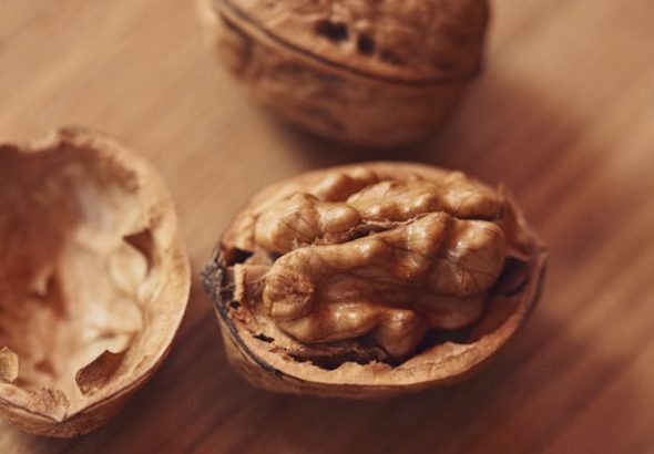 Tips membuka kacang kenari