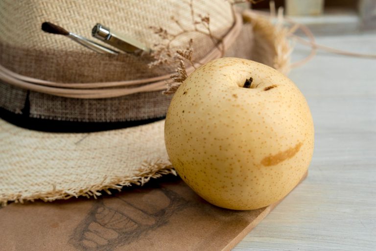 Buah pir