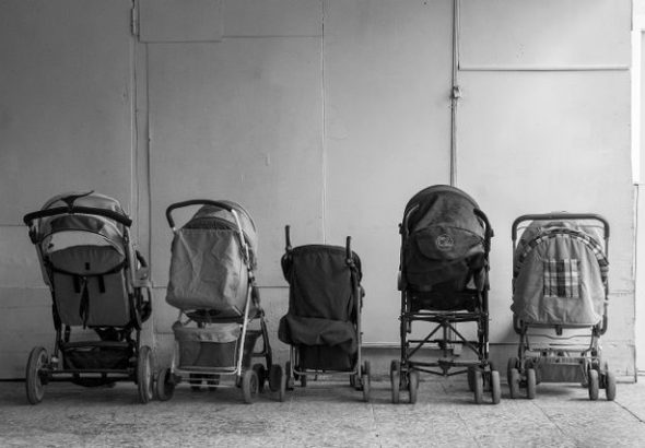 bisnis sewa kereta bayi